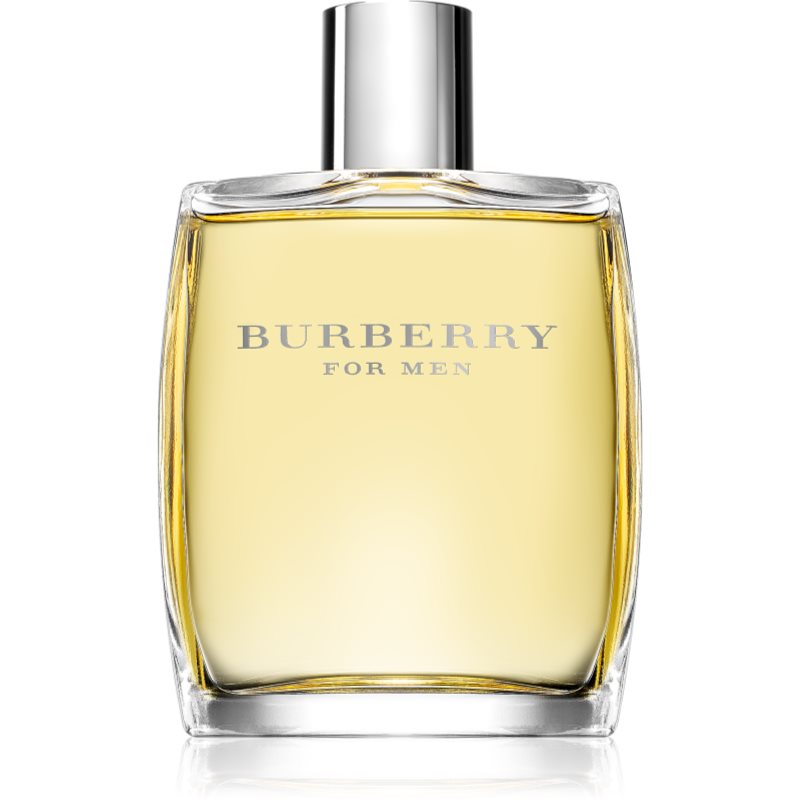Burberry Burberry For Men Eau De Toilette Für Herren 100 Ml