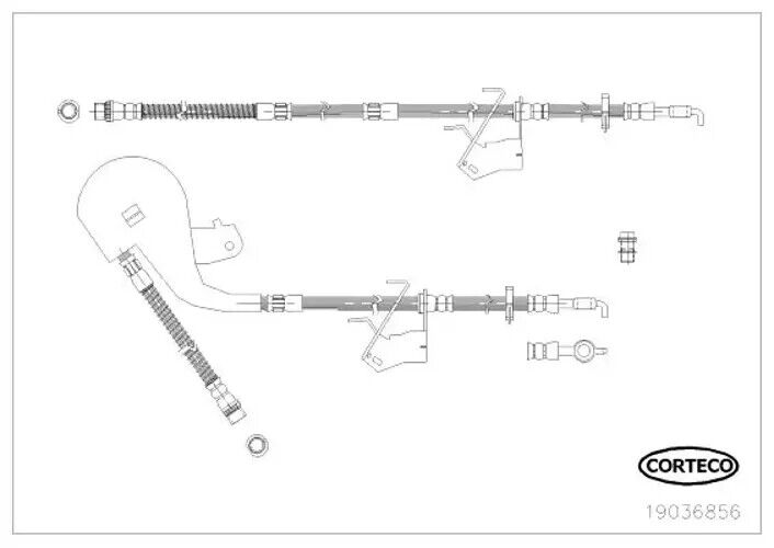 Flexibler Bremsschlauch Vorderachse rechts 19036856 CORTECO für CITROËN PEUGEOT
