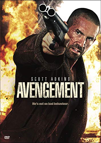 Avengement [Blu-Ray] [Region B] (Import) (Pas De Version Française)