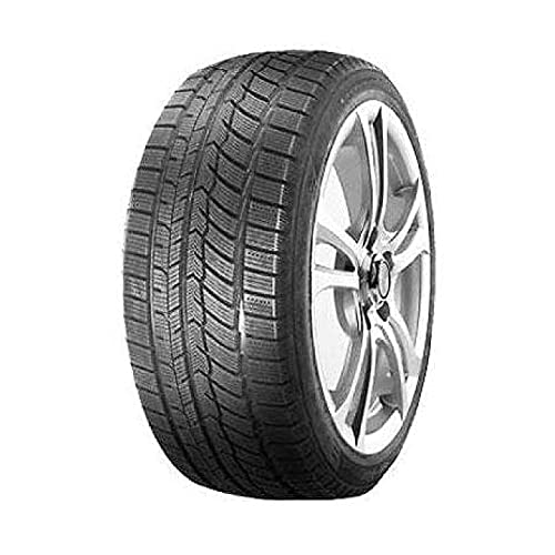 Fortune Fsr-901 195/60 R16 89H Winterreifen Gtam T263260 Ohne Felge