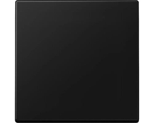 Jung A 590 SWM Wippe universal graphitschwarz/matt Serie A550