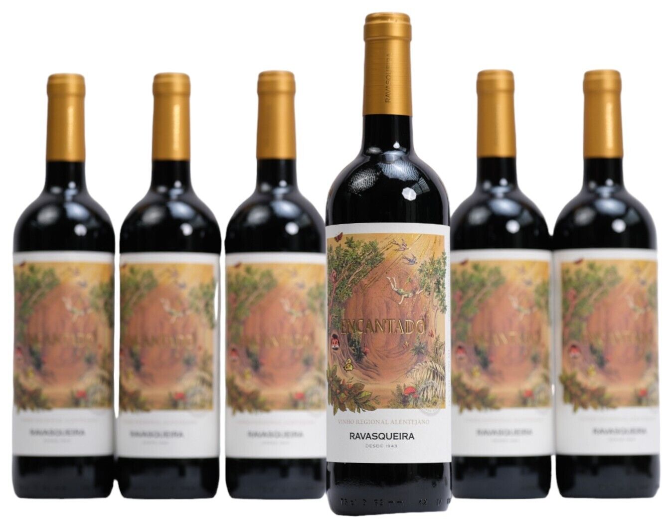 6 X Encantado Rotwein Ravasqueira aus Portugal KOSTENLOSER VERSAND ab 79€