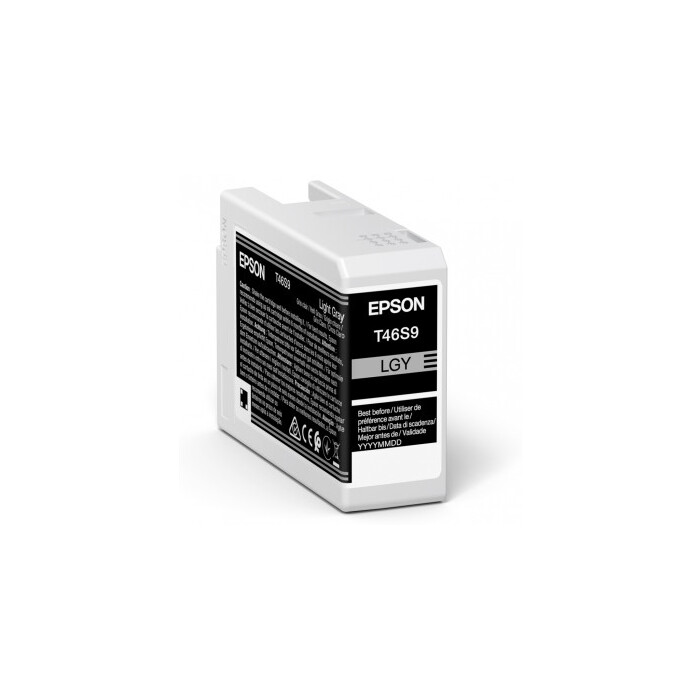 Epson Singlepack Ink light grey T46S9
