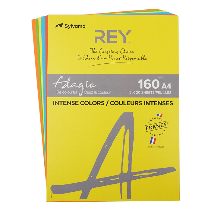 REY Adagio Kopierpapier A4 Intensiv 160g 5 x 20 Blatt mehrere Farben