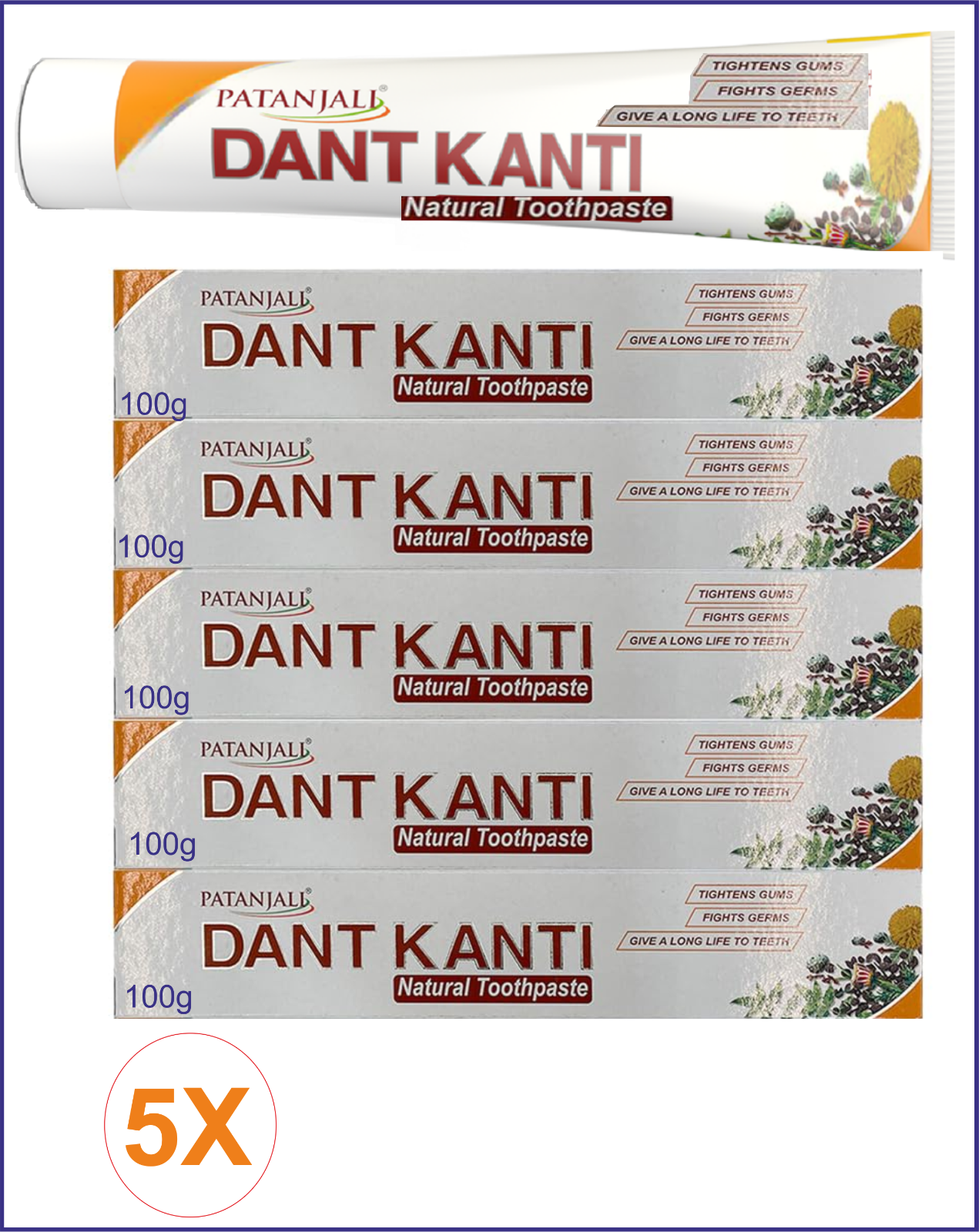 Patanjali 100g - DANT KANTI pflanzliche natürliche Zahnpasta