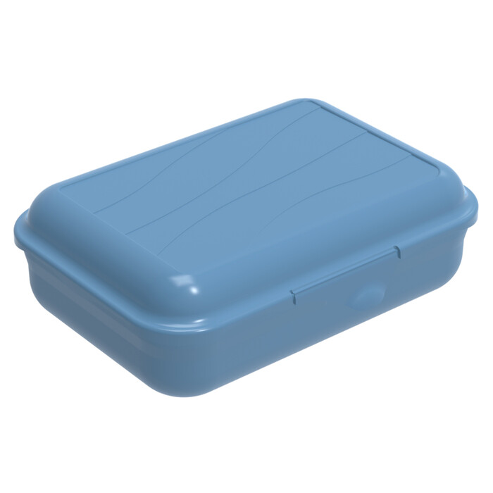 ROTHO Jausenbox mit Unterteiler Fun 0,9 Liter horizon blau