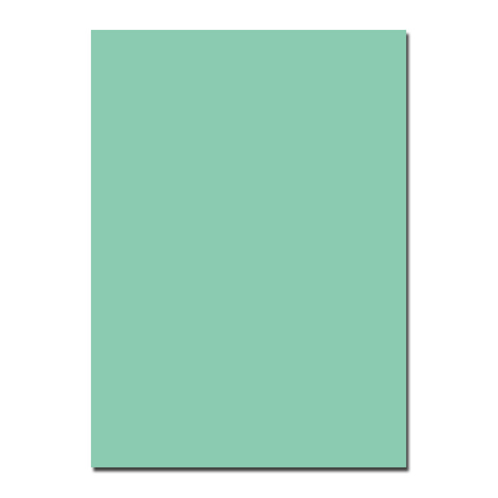 Folia Tonzeichenpapier, 50x70cm, mint, 1 Bogen
