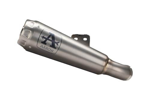 Arrow Titanium Pro-Race Silencer Bmw F 900R/Xr '20 Homologated Pro-Race Titanium Exhaust