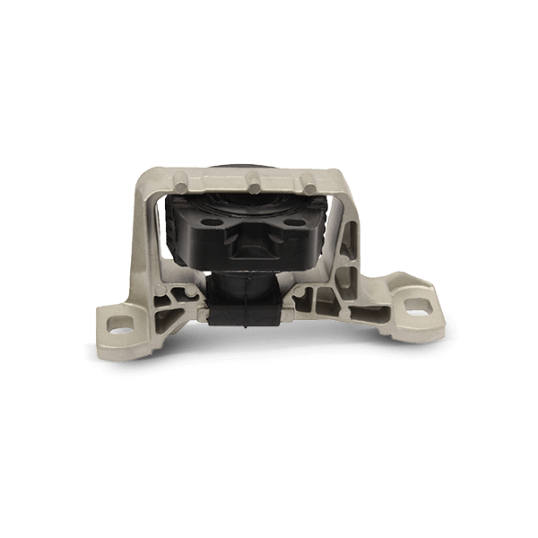 DELPHI TEM045 Motorlager hinten RENAULT: LAGUNA 1