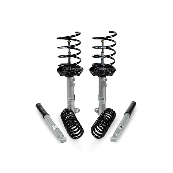 EIBACH B12 Pro-Kit E90-70-002-02-20 Fahrwerkssatz, Federn/Dämpfer Einrohr