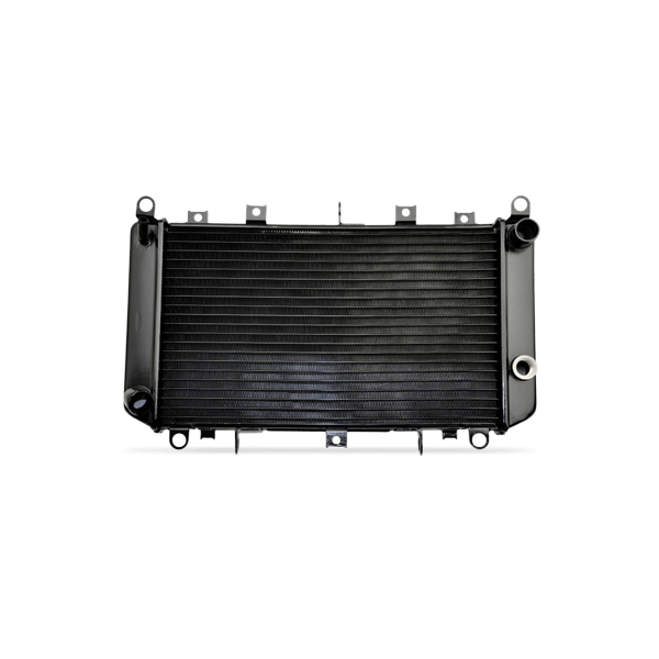 DENSO DRM40040 Kühler, Motorkühlung 375 695 16 HONDA: CIVIC 8 Hatchback