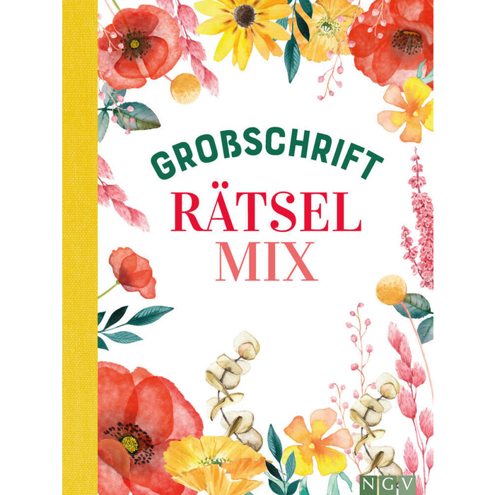 Großschrift Rätselmix - Taschenbuch