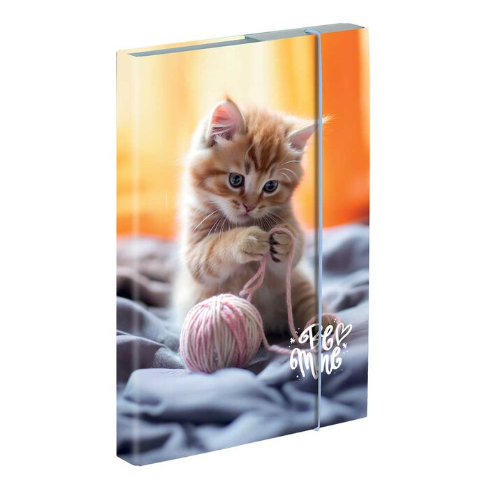 Heftbox Katze A4 mit Gummizugverschluss bunt