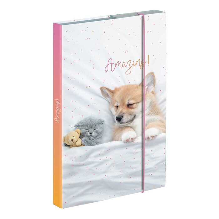 Heftbox Hund/Katze A4 weiß