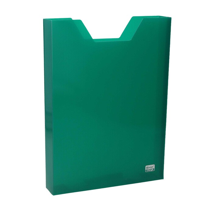 Heftbox A4 transparent grün