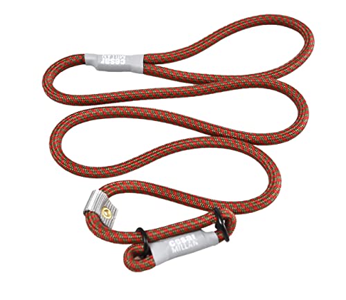 Cesar Millan Leine - Trainingsleine Für Hunde - 2In1 Halsband Hund Und Leine - Slip Lead - Retrieverleine Mit Integrierter Halsung - Länge 120Cm Durch