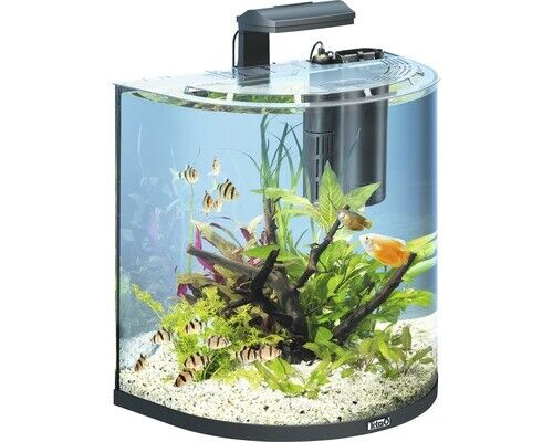 Aquarium Tetra Aquaart Explorer Line 60 L Mit Beleuchtung, Heizer, Filter Ohne U