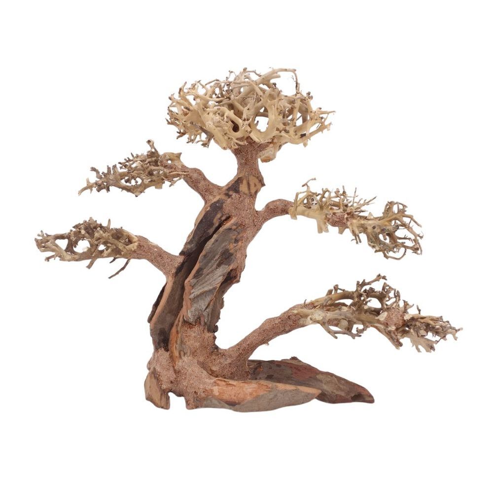 XL Bonsai Baum Nr.12057 Wurzel Holz Aquarium Deko Aquascaping Natur Oriental