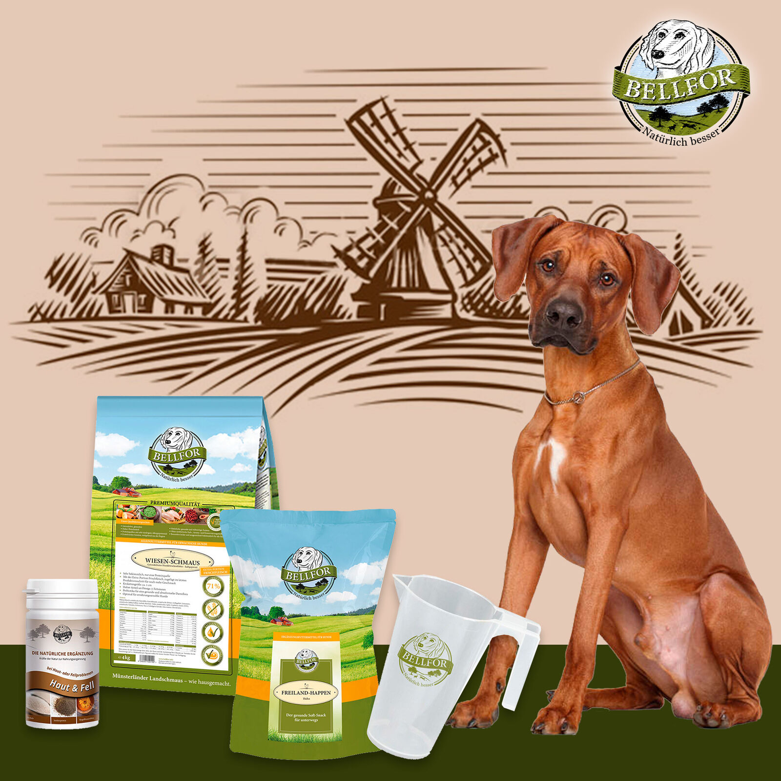 Bellfor Hundefutter Trocken Soft Snack Huhn Haut & Fell Pulver Sparset 4,28 kg