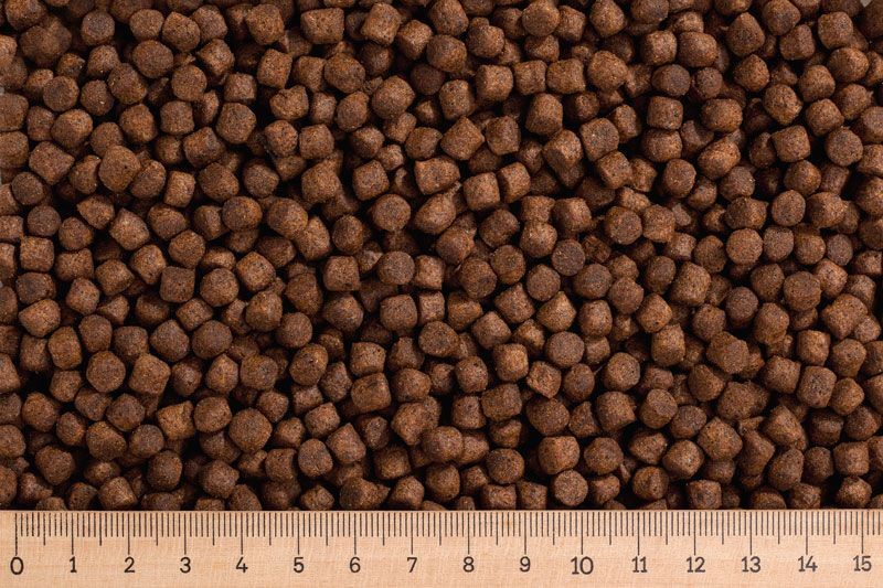 (Grundpreis 2,45 €/kg) - 30 kg Premium Lachsforellenfutter 6,0 mm - schwimmend