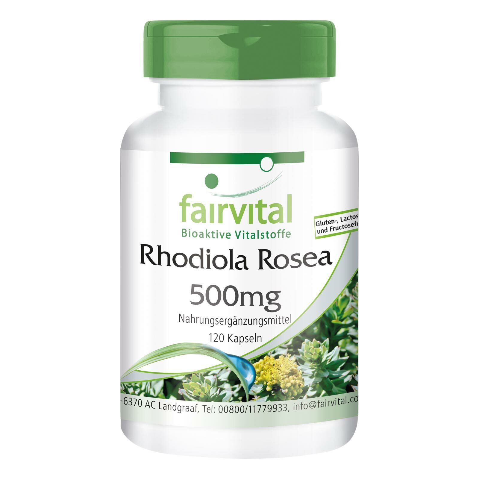 Rhodiola Rosea 500 mg - 120 Kapseln Rosenwurz - Nootropikum - VEGAN | fairvital