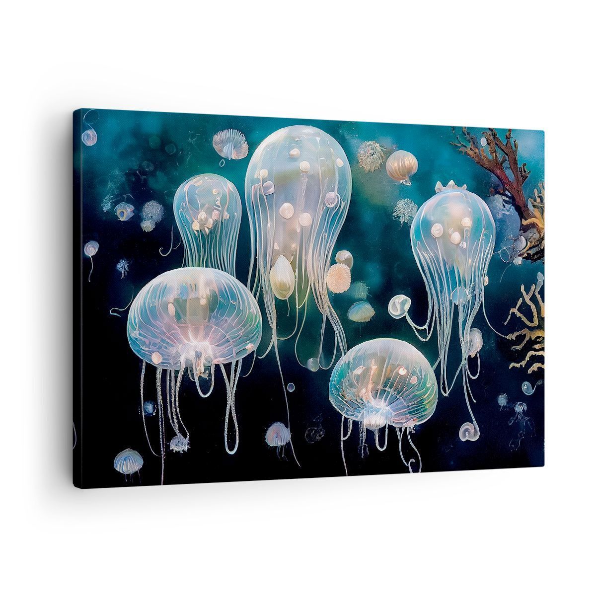 Wandbilder 70x50cm Leinwandbild Qualle Tiere Tiefe Klein Bilder Art Wanddeko