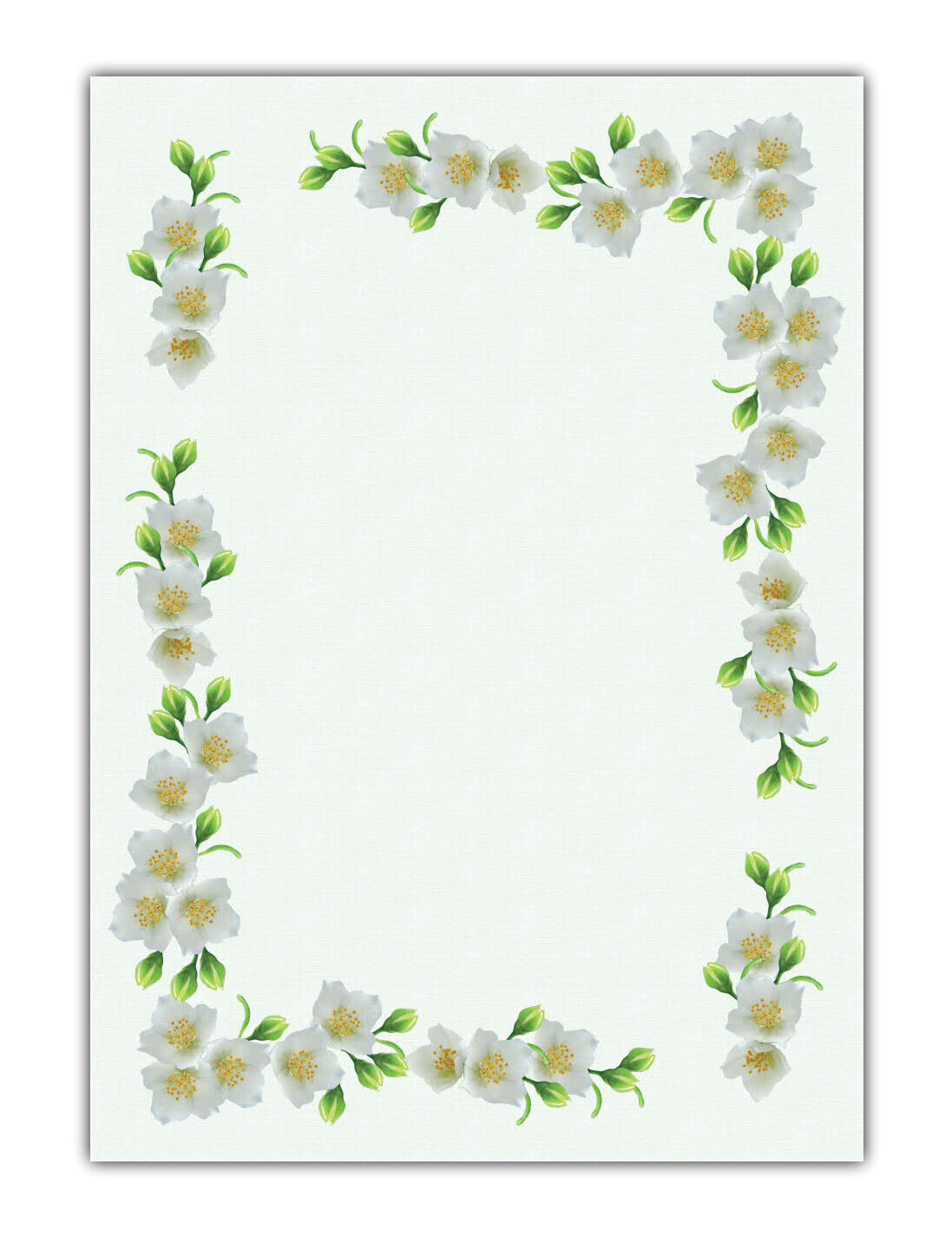 Blumen Motiv-Briefpapier schöner weißer Jasmin (MPA-5190, DIN A4, 100 Blatt)