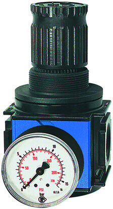 RIEGLER Druckregler variobloc G 1/2,  0,5-6 bar inkl. Manometer