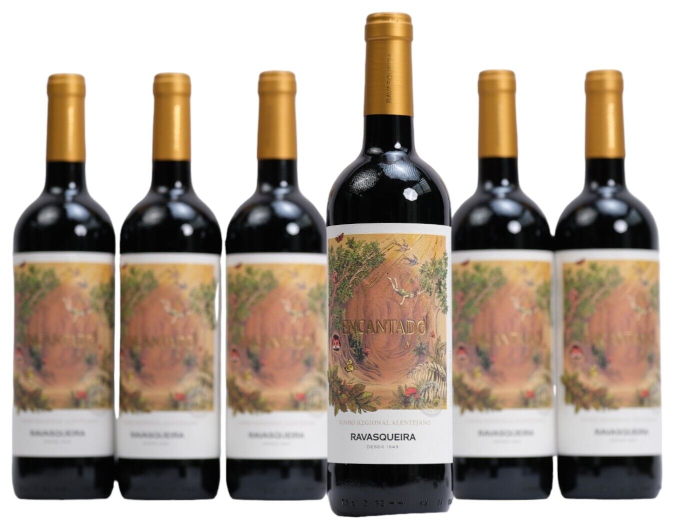 6 X Encantado Rotwein Ravasqueira aus Portugal KOSTENLOSER VERSAND ab 69€