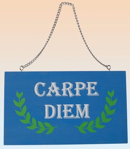 Holz Schild Carpe diem zum Aufhängen Motto Sinnspruch Lebensweisheit Weisheit