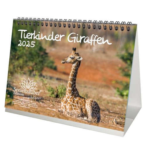 Tierkinder Giraffen Din A5 Tischkalender Für 2025 Giraffen - Seelenzauber