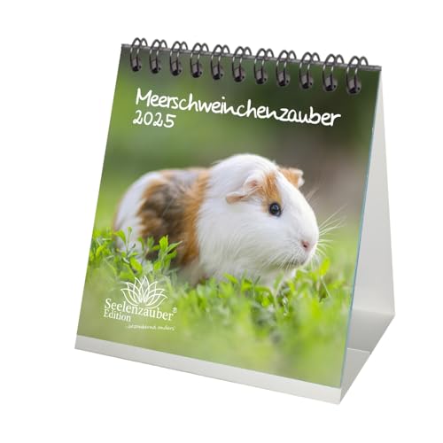 Meerschweinchenzauber Kalender Für 2025 Format 10Cm X 10Cm Meerschweinchen - Seelenzauber