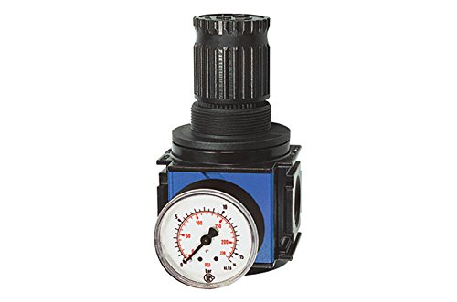 Riegler 100640-Vr 42 Druckregler »Variobloc«, Inkl. Manometer, Bg 2, G 1/2, 0,5-6 Bar, 1Stk