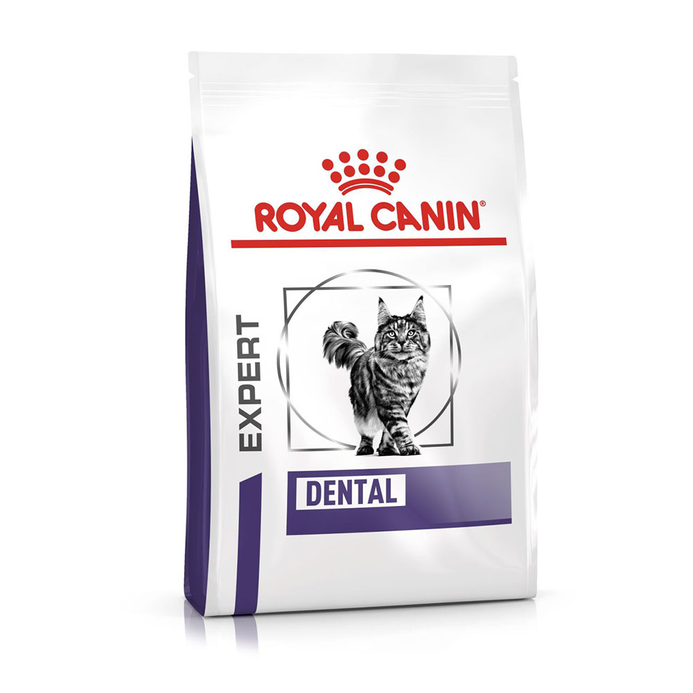 Sparpaket 2x3kg Royal Canin Expert Feline Dental Katzenfutter trocken